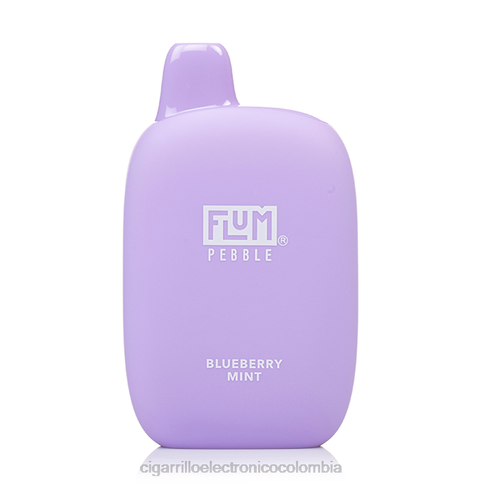 Distribuidor Vapeo Al Por Mayor - FLUM PEBBLES 6000 bocanadas menta de arándanos 64B423