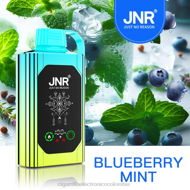 menta de arándanos - cigarrillo electrónico Colombia precio 6PB4X618 JNR SHISHA BOX