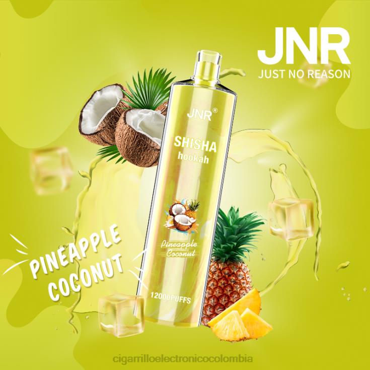 coco piña - cigarrillo electrónico terea 6PB4X686 JNR SHISHA