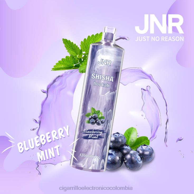 menta de arándanos - cigarrillo electrónico sin nicotina 6PB4X672 JNR SHISHA