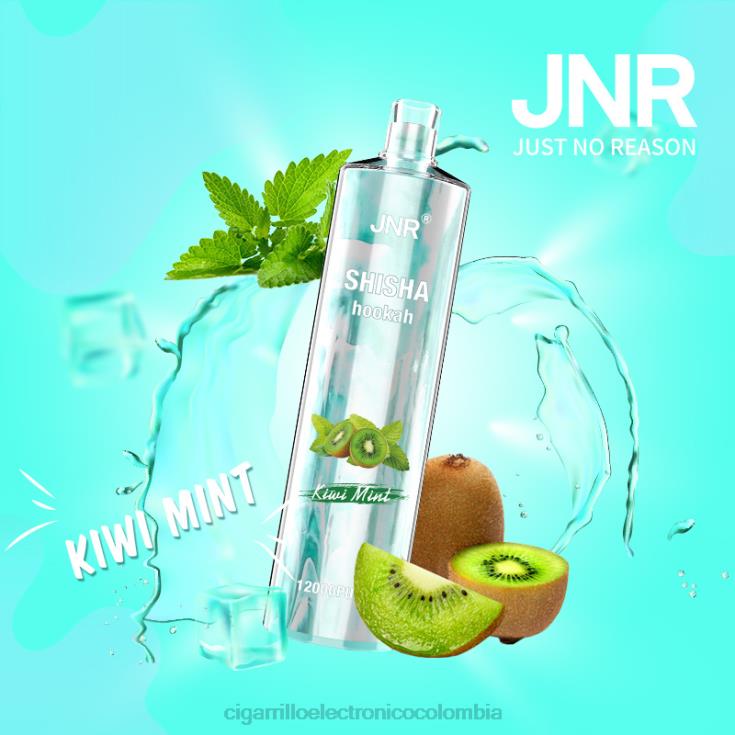 menta kiwi - cigarrillo electrónico precio 6PB4X681 JNR SHISHA