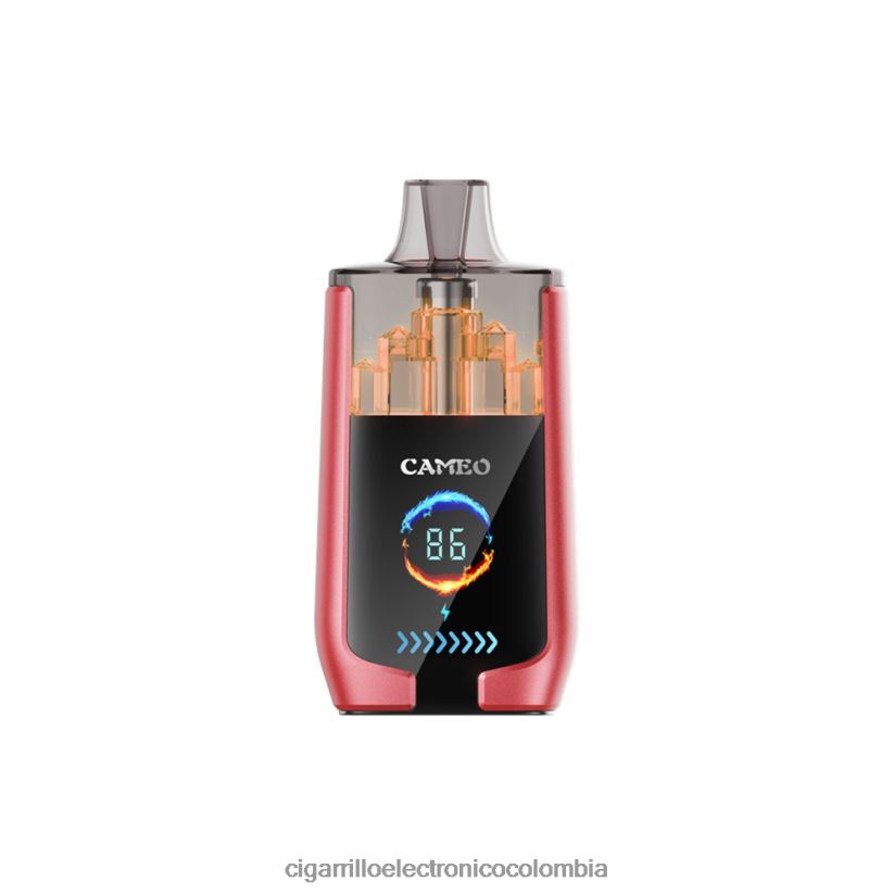 Cigarrillo Electrónico Precio - hielo de sandia LAVIE CAMEO 30000 bocanadas B8BB0014