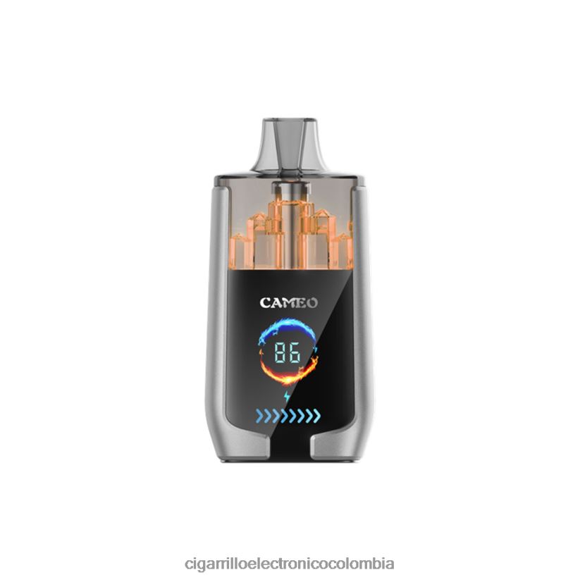 Cigarrillo Electrónico Vape - hielo de arándanos LAVIE CAMEO 30000 bocanadas B8BB0015