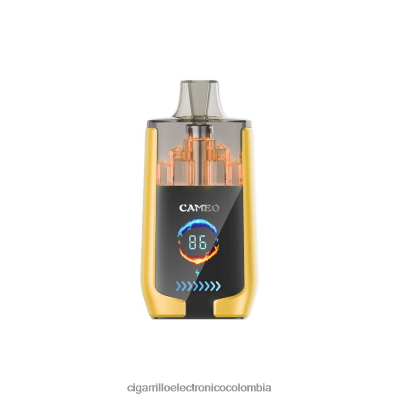 Cigarrillo Electronico Venta Mayoreo - hielo de mango LAVIE CAMEO 30000 bocanadas B8BB0021