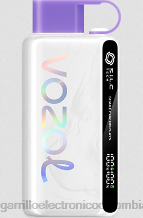hielo de uva - cigarrillo electrónico recargable 6PB4X13 VOZOL STAR 9000/12000 5%